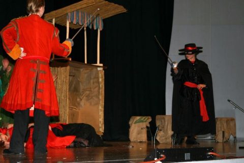 2007 Zorro 23