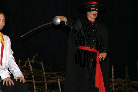 2007 Zorro 34