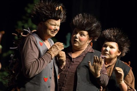 2017 Rotkäppchen 07