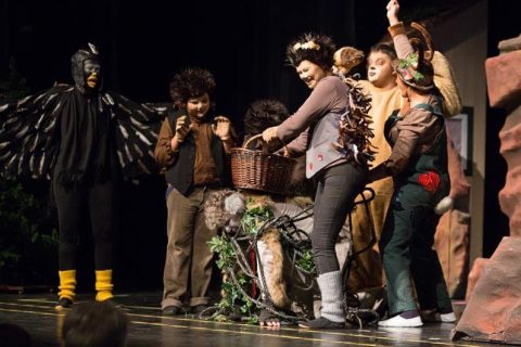 2017 Rotkäppchen 19