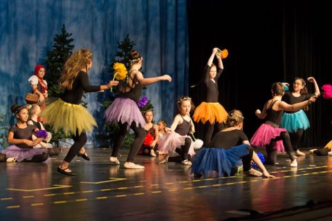 2017 Rotkäppchen 24