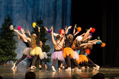 2017 Rotkäppchen 26