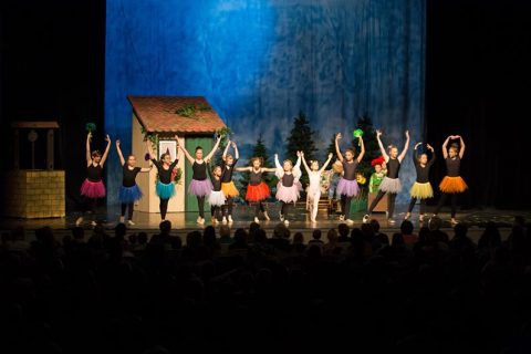 2017 Rotkäppchen 39