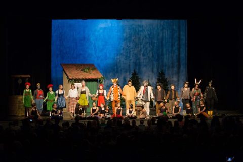 2017 Rotkäppchen 40