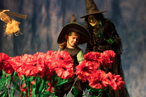 2022 Zauberer von Oz 19