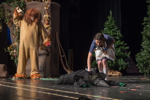 2022 Zauberer von OZ 36