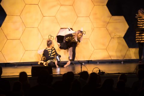 2023 Biene Maja und ihre ersten Abenteuer 01