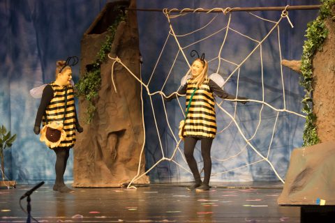 2023 Biene Maja und ihre ersten Abenteuer 07