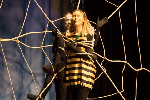 2023 Biene Maja und ihre ersten Abenteuer 11