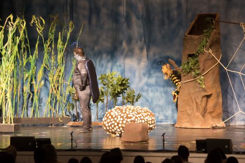 2023 Biene Maja und ihre ersten Abenteuer 12