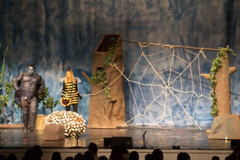 2023 Biene Maja und ihre ersten Abenteuer 13