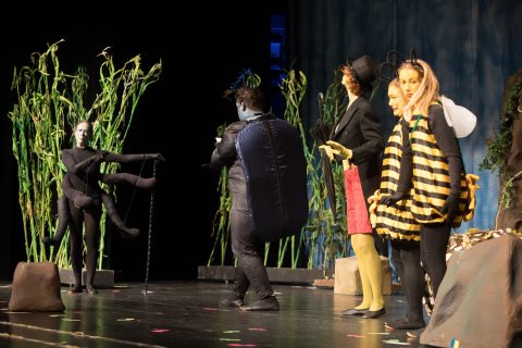 2023 Biene Maja und ihre ersten Abenteuer 15