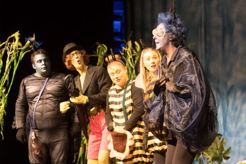 2023 Biene Maja und ihre ersten Abenteuer 16