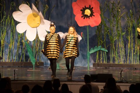 2023 Biene Maja und ihre ersten Abenteuer 40