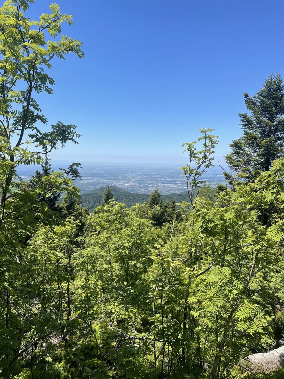 Die Maske Hüttenwochenende Ausblick