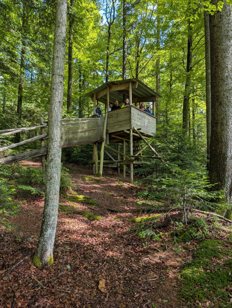 Die Maske Hüttenwochenende Baumhaus