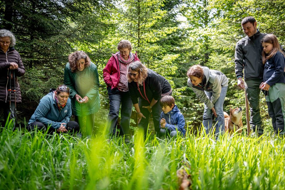 Die Maske Hüttenwochenende Molche suchen